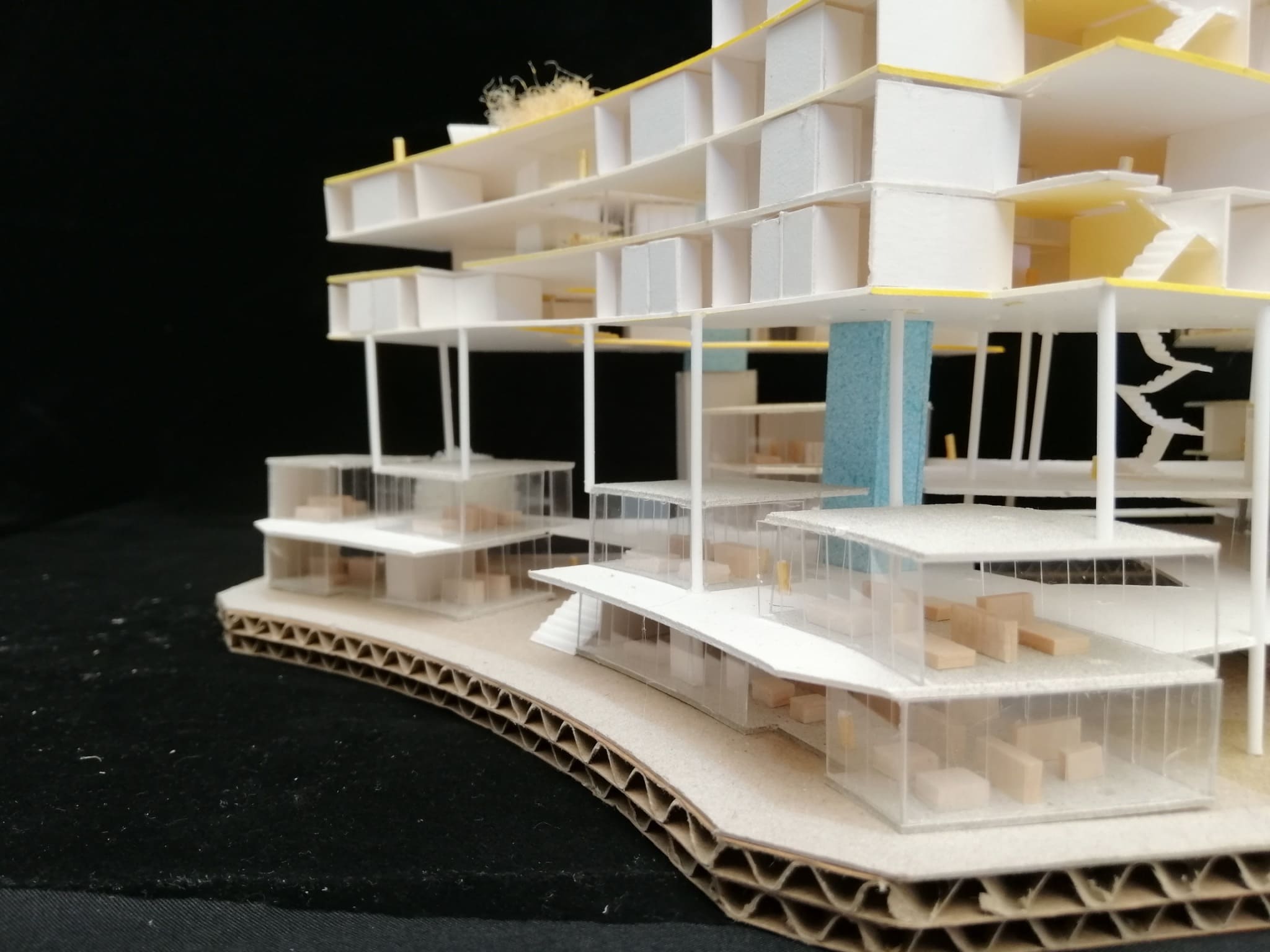 Slope House - Elevation